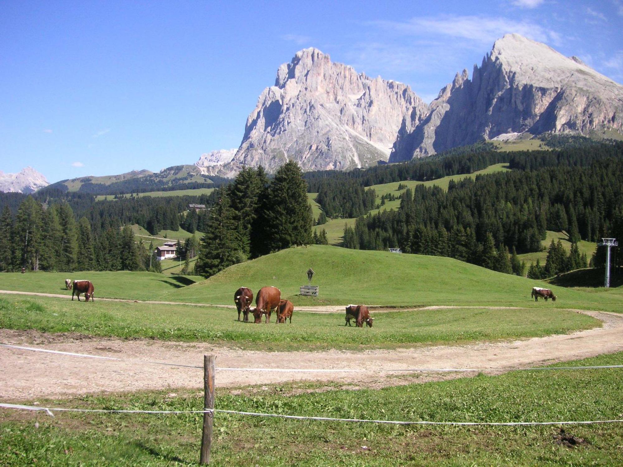 Hotel Flora Selva di Val Gardena Eksteriør bilde